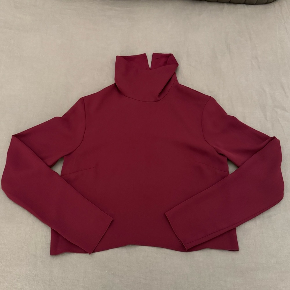Aritzia Babaton Rembrandt Turtleneck Blouse - Picture 4 of 8